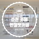 엔젤펫카페