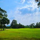 갤러리세븐골프 | 파타야골프투어 관리 상태 좋은 골프장 + 루프탑 인생샷 호텔 추천 [파타야CC/피닉스CC/시암앳시암호텔]