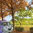 인애유치원 | 따끈따끈 &#39;서울대공원 동물원&#39; 방문 | 딸과의 유치원땡땡이치고 데이트 즐기기