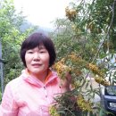 곰배령새소리 이미지