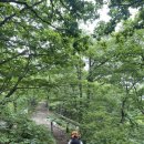 영남부분정비 이미지