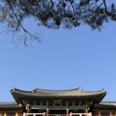 불국로(남) 이미지