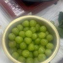 몽멍이들 이미지