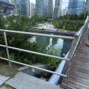 아인동물의료센터 이미지