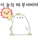 보태니컬&팝아트 이미지