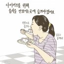 클라임타워 이미지