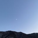 평창수입육 이미지