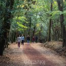 제주청정스팟