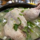 언양닭칼국수 이미지