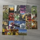 평화레저타운 | 방문, AGWA 미술관, 히스레저 기념비 러닝, 해변러닝, 투굿투고 에그타르트 후기, 요치1+1, 일본 커리 맛집