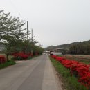 월호마을회관 이미지