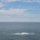 동계닭집 | 삼척 여행| 삼척 2박3일 여행코스 추천 내돈내산 찐후기