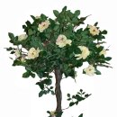 그린분식 이미지