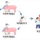 빨간집 이미지