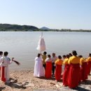 고양들소리 이미지