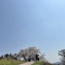 수도산공원 이미지