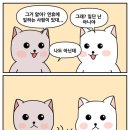 한상교육