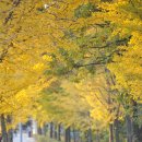 서울목장 이미지