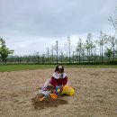 호수공원방울새공원건너편 이미지