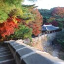 도고면로 이미지