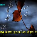 비오는거리에서/가수양승만(작곡)최신가요,최신곡,대중가요,성인가요,트로트가요,노래듣기,가요듣기,최신트로트,노래교실,가요교실,무료듣기,인기가요 이미지