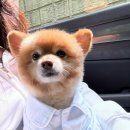 베스트프렌드 동물병원 이미지