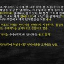 선한나무