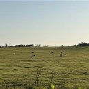 동굴목장 이미지