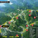달맞이 이미지