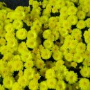 동래원예고등학교 이미지