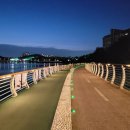 기흥호수공원(생태) 이미지