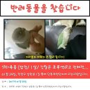 삼원로 이미지