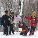 산울림 이미지