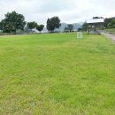 지수초등학교 이미지