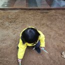 진도기업 이미지