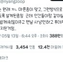 푸돼지 이미지
