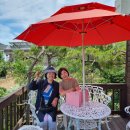 글리제(gliese) 이미지