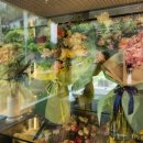 펫포레스트 반려동물장례식장 남양주점 이미지