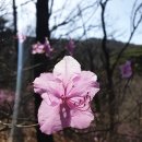 삼부골로 이미지