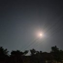 작곡가 박태준 흉상 이미지