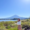 물고기의눈물이호수로 | 일본 후지산 여행 도쿄역 출발 야마나시 관광 코스 버스투어