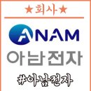 아남전자 연봉 및 월급과 회사구조, 수익에 대해서