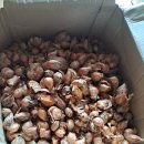 부여농장 이미지