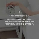 한국체대 인성금강 태권도 이미지