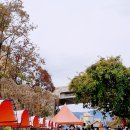 추억여행 | 경춘선 따라 달리는 추억여행, 경강 레일바이크 후기! (4인승 수동)