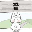 신사제육 이미지