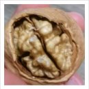 동네부엌 이미지