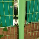 투썸플레이스부산괴정점 이미지