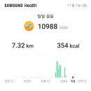 인생은파스타입니다 이미지