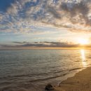 원산아일랜드 이미지